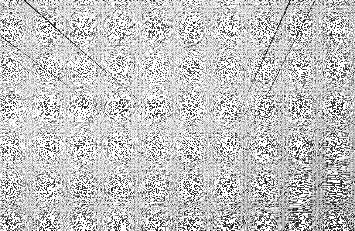 Black and white image